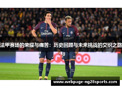 法甲赛场的荣耀与痛苦：历史回顾与未来挑战的交织之路