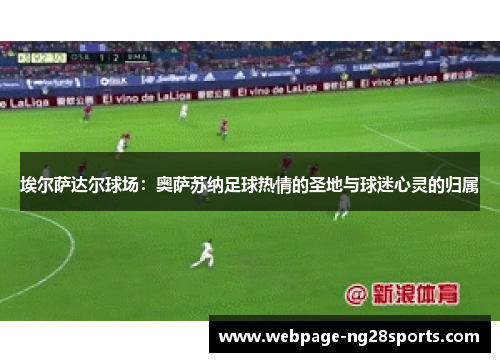 埃尔萨达尔球场：奥萨苏纳足球热情的圣地与球迷心灵的归属