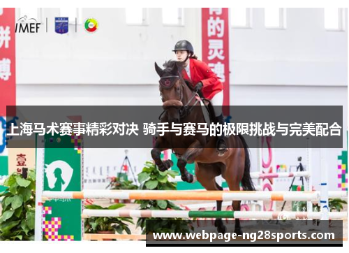 上海马术赛事精彩对决 骑手与赛马的极限挑战与完美配合