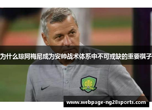 为什么琼阿梅尼成为安帅战术体系中不可或缺的重要棋子