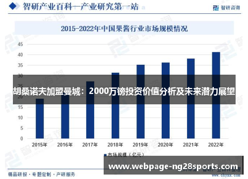 胡桑诺夫加盟曼城：2000万镑投资价值分析及未来潜力展望