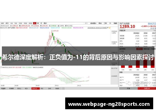 希尔德深度解析：正负值为-11的背后原因与影响因素探讨