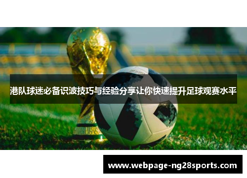 港队球迷必备识波技巧与经验分享让你快速提升足球观赛水平