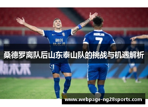 桑德罗离队后山东泰山队的挑战与机遇解析