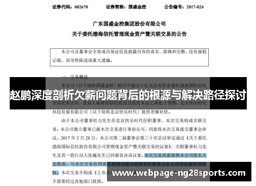 赵鹏深度剖析欠薪问题背后的根源与解决路径探讨