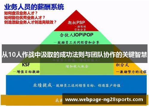 从10人作战中汲取的成功法则与团队协作的关键智慧