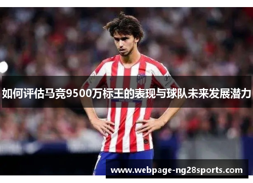 如何评估马竞9500万标王的表现与球队未来发展潜力