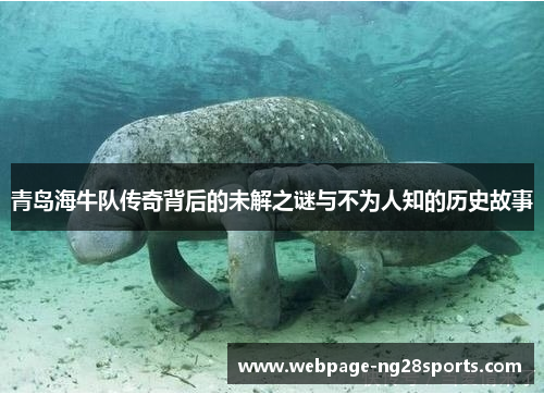 青岛海牛队传奇背后的未解之谜与不为人知的历史故事