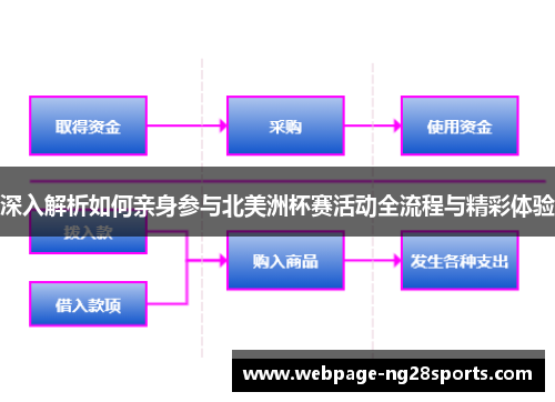 深入解析如何亲身参与北美洲杯赛活动全流程与精彩体验