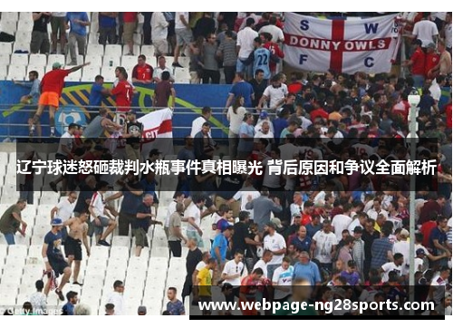 辽宁球迷怒砸裁判水瓶事件真相曝光 背后原因和争议全面解析