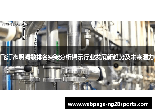 飞汀杰蔚阀敏排名突破分析揭示行业发展新趋势及未来潜力